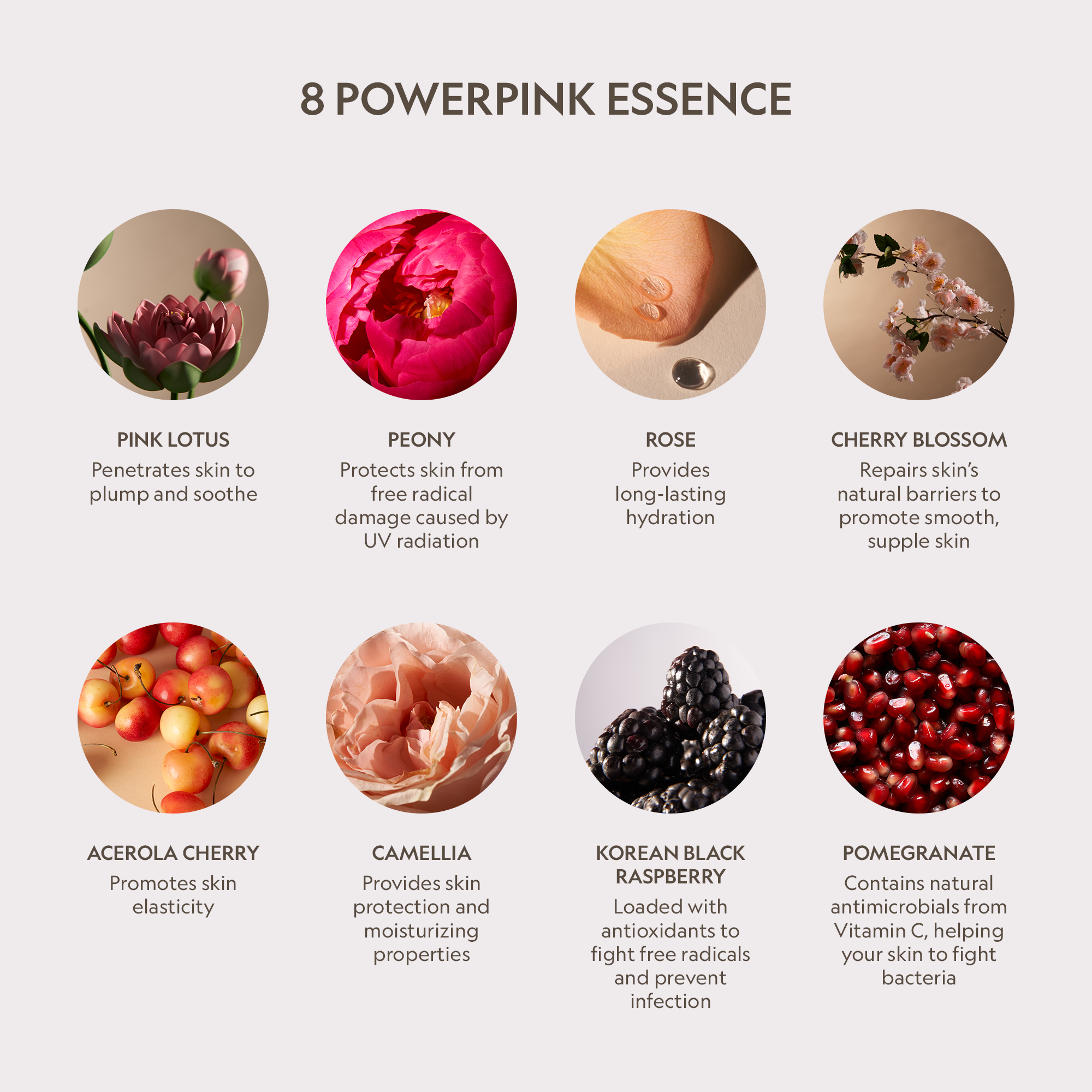 Yensa Pink Lotus Peptide Renewal Face Cream - Brightening & Firming Moisturizer